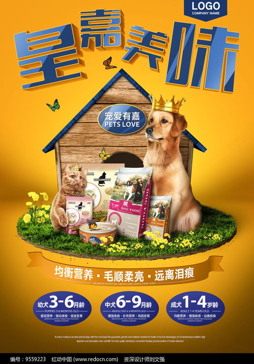 “食”刻關愛，科技賦能——寵物食品促銷與技術服務雙贏盛會